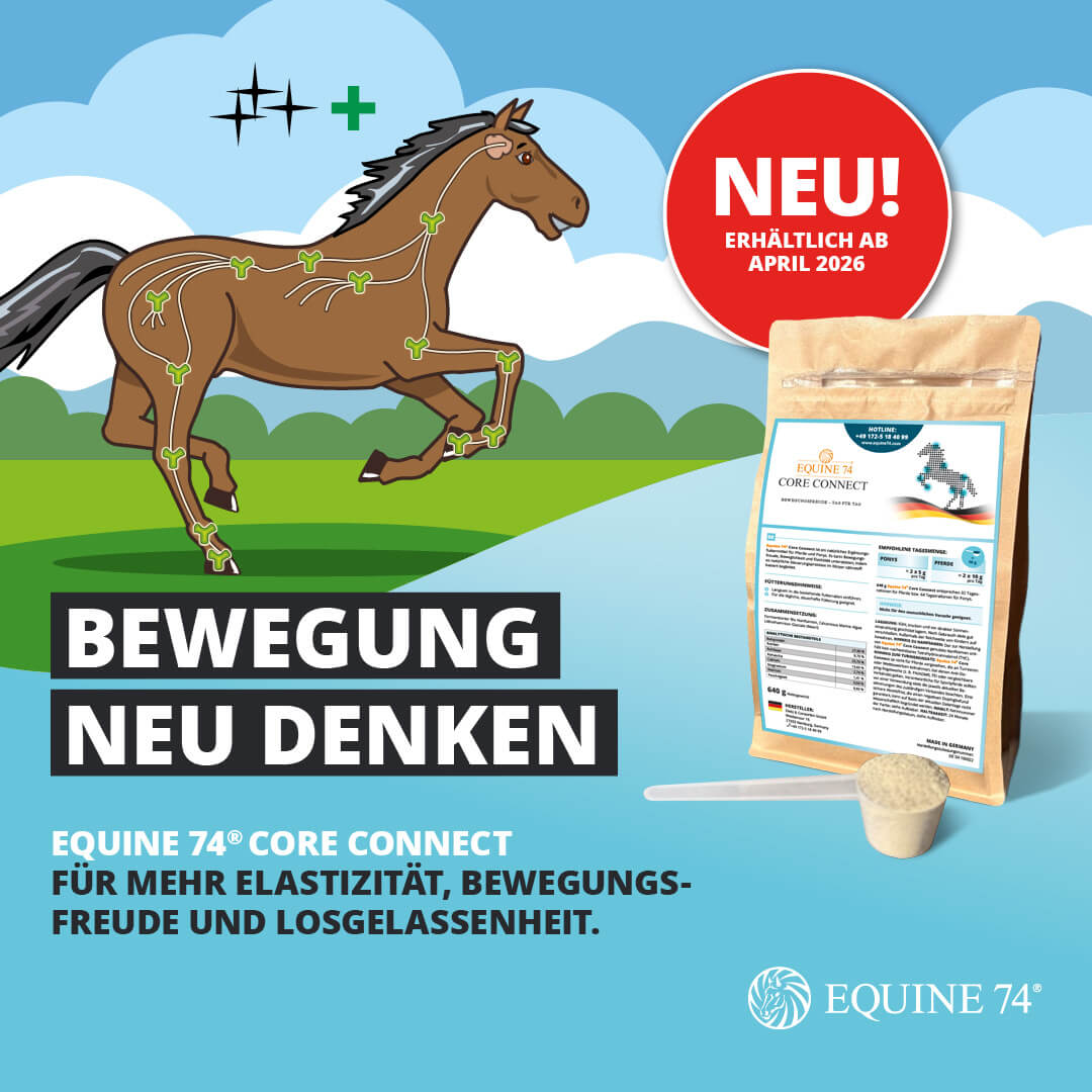 Equine 74® Core Connect (640g)