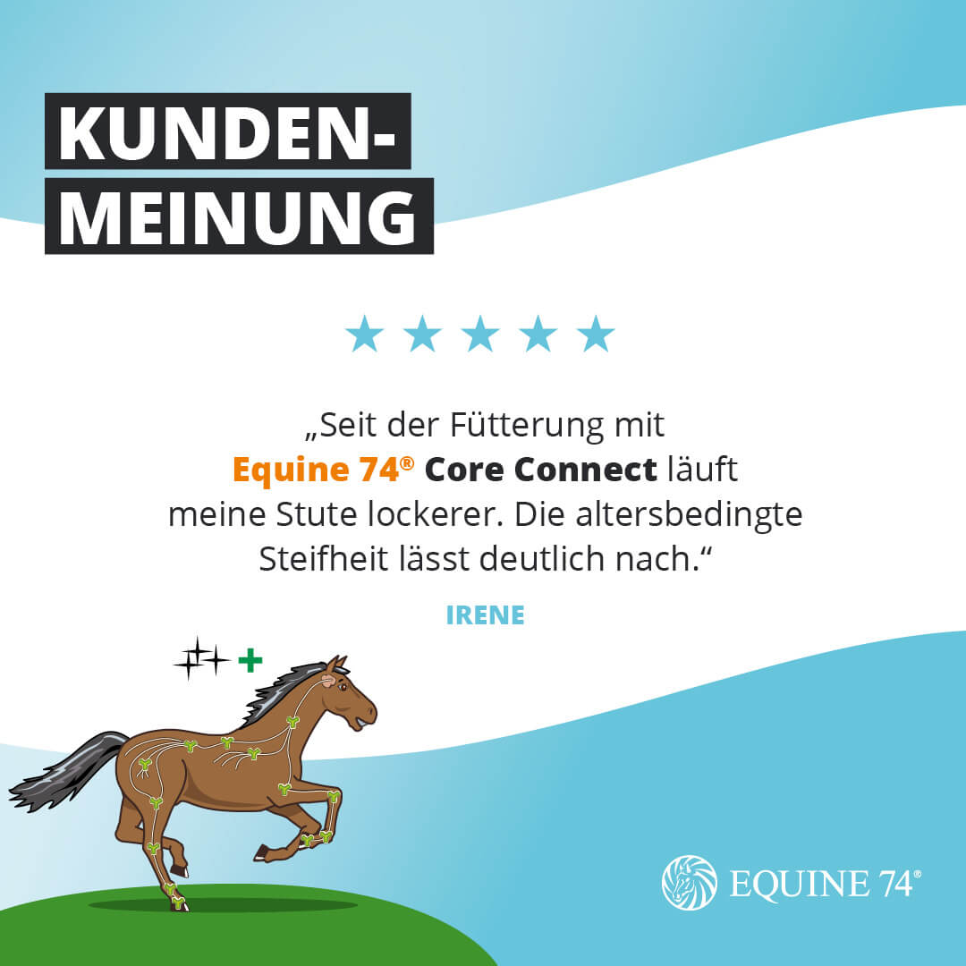 Equine 74® Core Connect (640g)